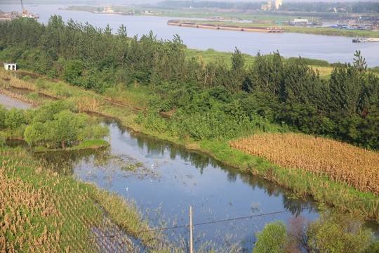 淮河