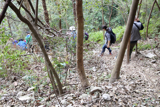 下山的驢友