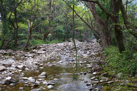 山澗溪流河道