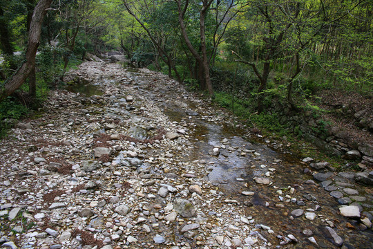 雁蕩山山洪沖刷河道