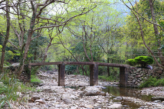 雁蕩山山澗河道石橋