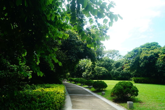 公園綠化帶景觀