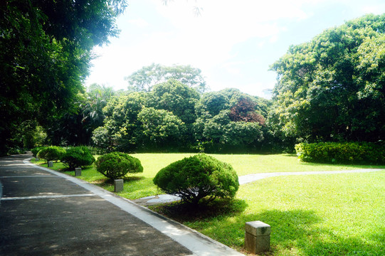 公園綠化景觀