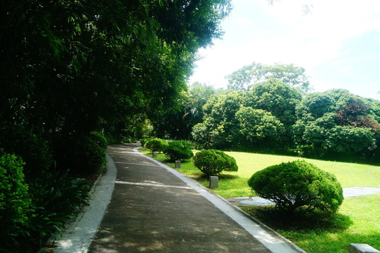 公園綠化景觀