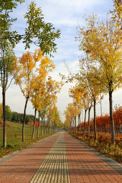 小路