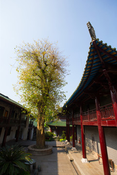 南華寺
