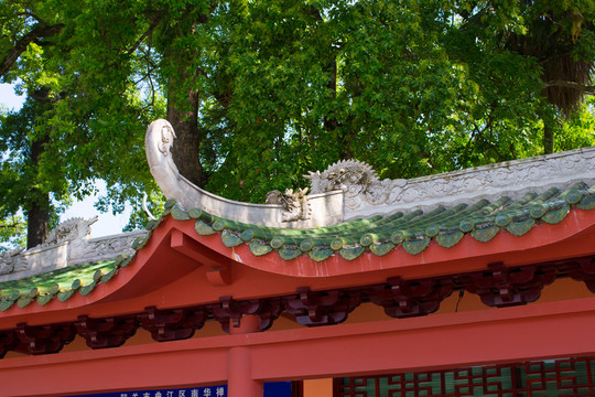 南華寺  佛教建筑 古建筑