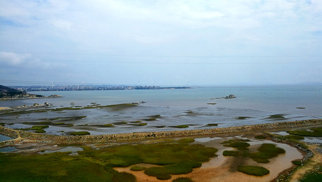 海灘 堰壩 灘涂 濕地 平譚