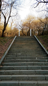 山路 小道 臺(tái)階