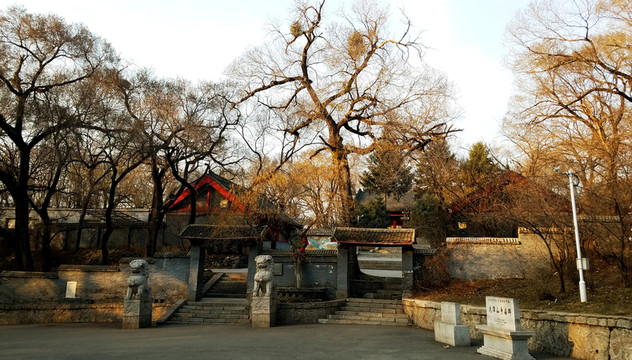 龍鳳寺 古建筑 龍?zhí)渡? loading=