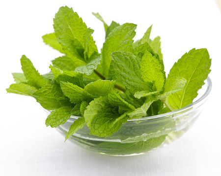 薄荷