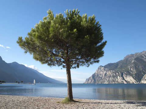 gardasee