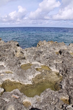 開曼群島的巖石海岸