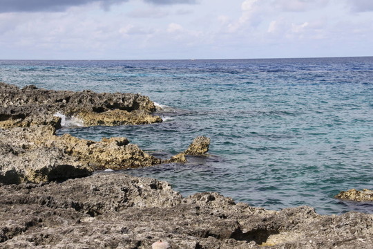 開曼群島的巖石海岸