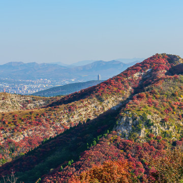 大山秋色