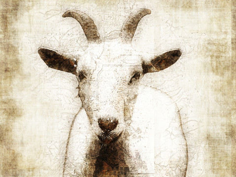 復(fù)古畫(huà)山羊