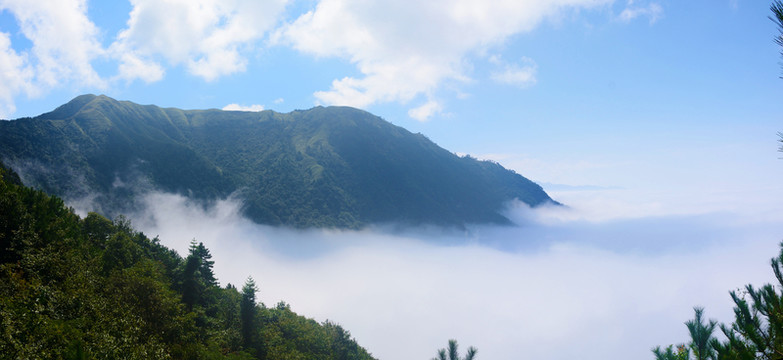 武功山云海