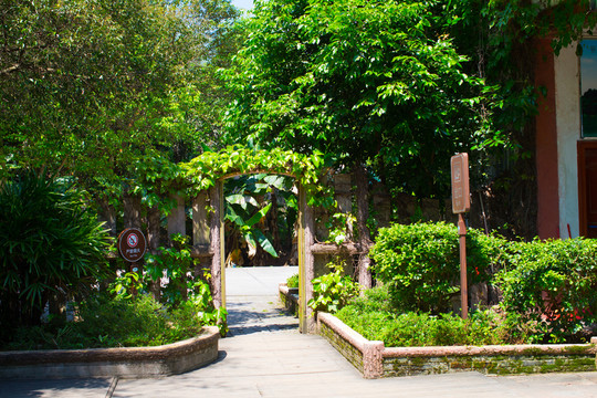 花園小院