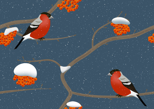 冬季鳥(niǎo)類雪矢量插畫(huà)無(wú)縫降雪紅腹灰雀