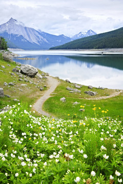 山