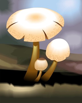 月亮