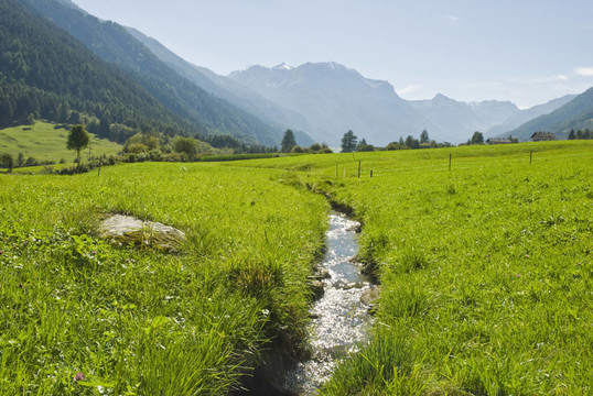 rampitschenwaal M？nstertal