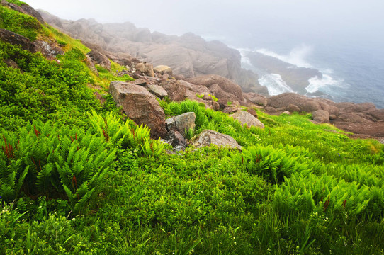 海岸