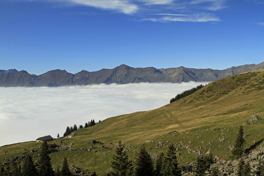nebelmeer