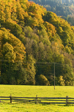 herbstlandschaft