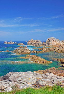 在玫瑰海岸