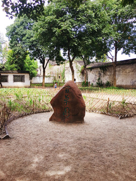 紹興魯迅故居百草園