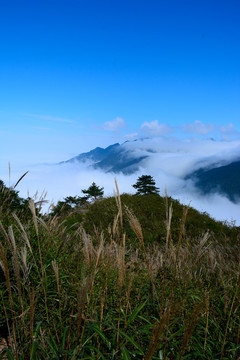 武功山景色 武功山風(fēng)光攝影