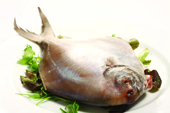 鯧魚