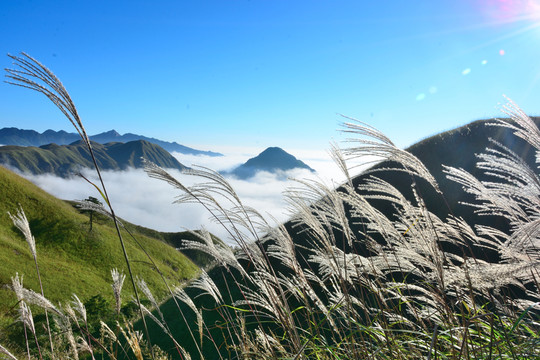 萍鄉(xiāng)武功山 江西萍鄉(xiāng)武功山