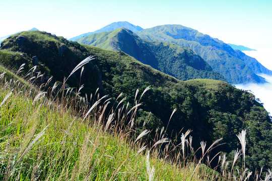 江西萍鄉(xiāng)武功山旅游 武功山實拍