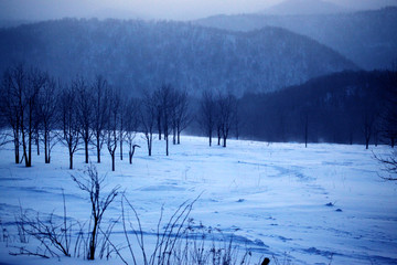 雪鄉(xiāng) 雪景 水墨風(fēng)光