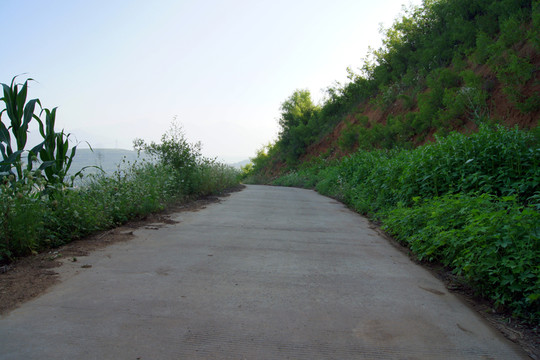 林間小路