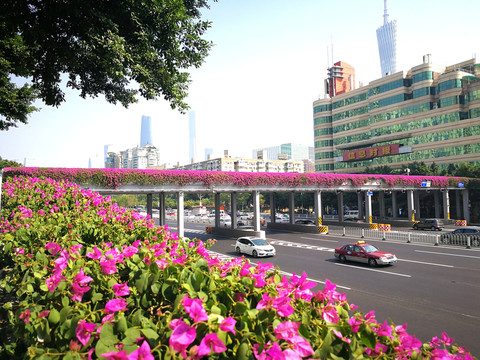 花城人行天橋 人行天橋