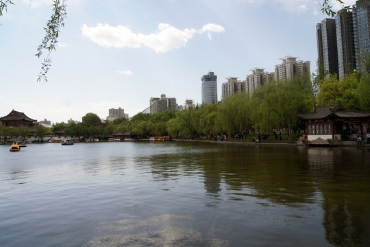 興慶公園湖面