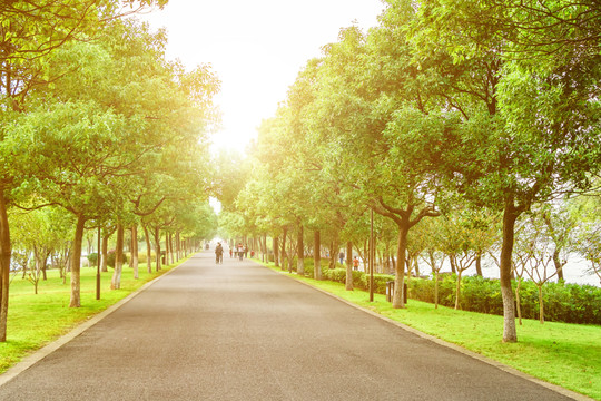 陽光游步道