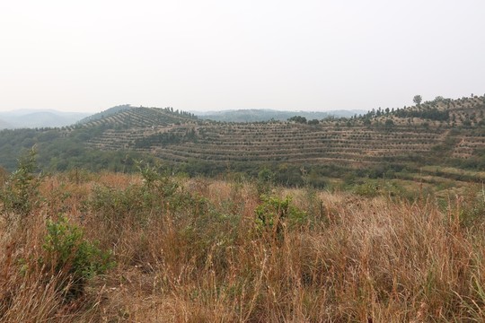 龍王尖風(fēng)景