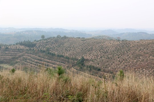 龍王尖風(fēng)景