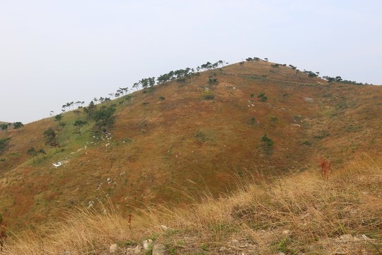 龍王尖風(fēng)景