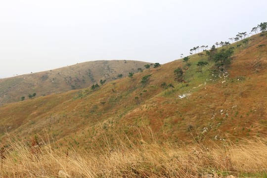 龍王尖風(fēng)景
