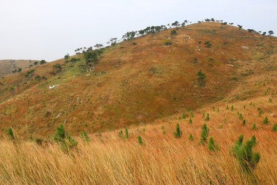 龍王尖風(fēng)景