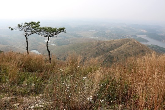 龍王尖風(fēng)景