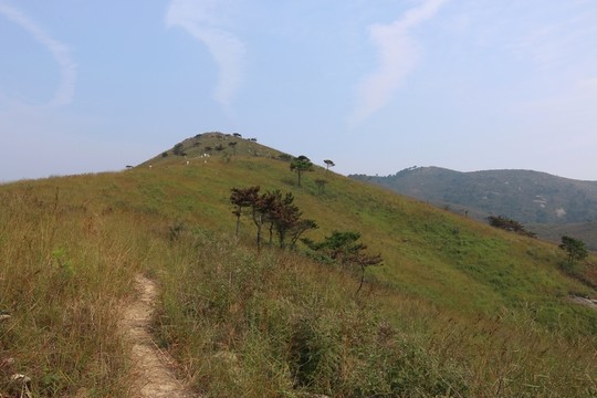 龍王尖風景