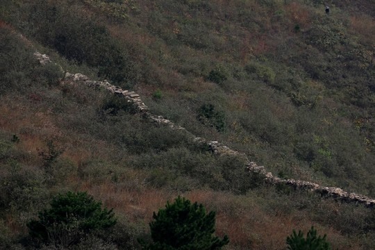 龍王尖風(fēng)景