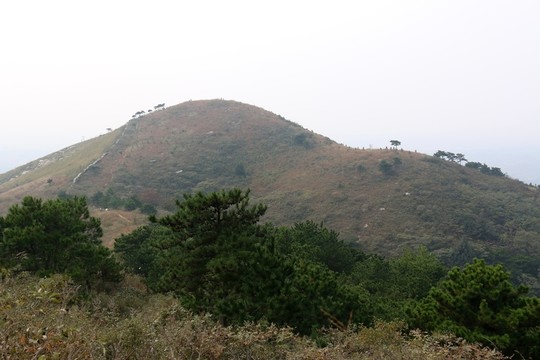 龍王尖風(fēng)景