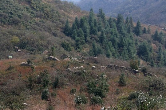 龍王尖風(fēng)景
